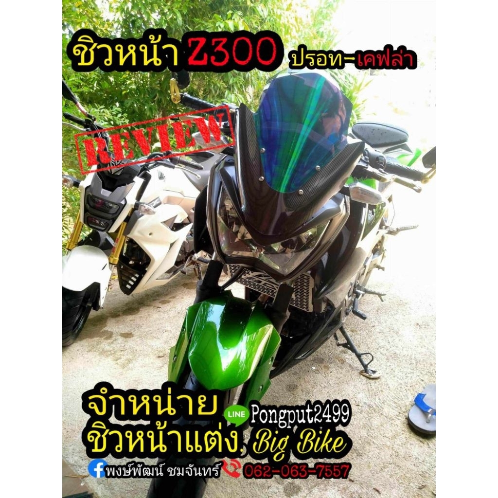 ชิวหน้าแต่ง Z250 Z300