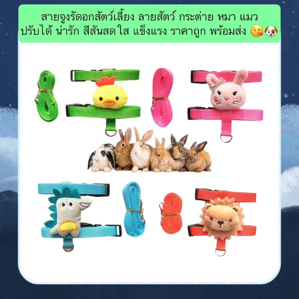 AL-1253 สายจูงรัดอกสัตว์เลี้ยง ลายสัตว์ กระต่าย หมา แมว ปรับได้ น่ารัก สีสันสดใส แข็งแรง ราคาถูก พร้อมส่ง 😘🐶
