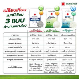 ปุ๋ยเคมี 10-0-0 แมกนีเซียมไนเตรท(เม็ด) 25 กิโลกรัม ละลายน้ำ 100% มีแมกนีเซียม 15% ช่วยกระตุ้นใบเขียว