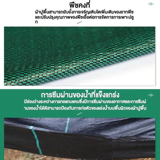 Daily Gold พลาสติกคลุมวัชพืช ผ้าคลุมหญ้า 2x50 1x100 2x10 3x10 กำจัดหญ้า พลาสติกคลุมดิน ผ้าคลุมดิน