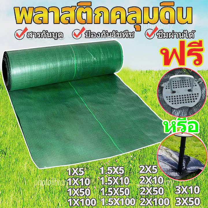 Daily Gold พลาสติกคลุมวัชพืช ผ้าคลุมหญ้า 2x50 1x100 2x10 3x10 กำจัดหญ้า พลาสติกคลุมดิน ผ้าคลุมดิน