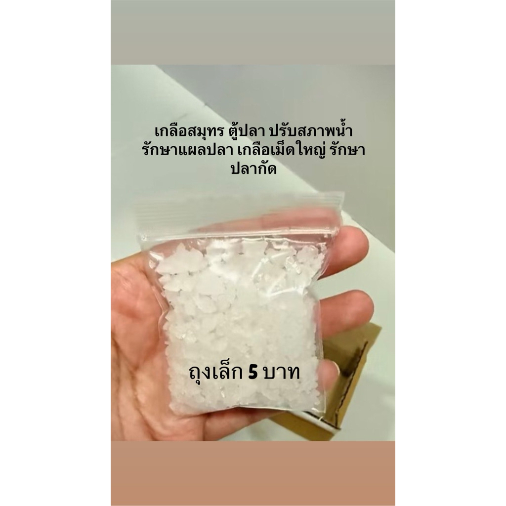 เกลือสมุทร ตู้ปลา ปรับสภาพน้ำ  รักษาแผลปลา เกลือเม็ดใหญ่ รักษาปลากัด