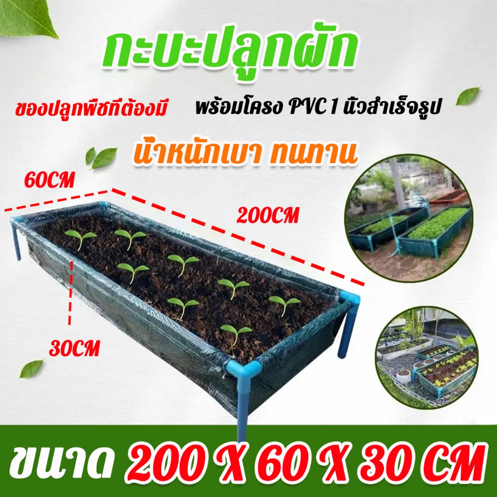 10 ปี ไม่พัง กะบะปลูกผัก ขนาด 200x60x30 cm กระบะปลูกผัก แปลงปลูกผักสวนครัว เหมาะสำหรับการเพาะปลูก ปลูกพืชได้หลากหลายชนิด