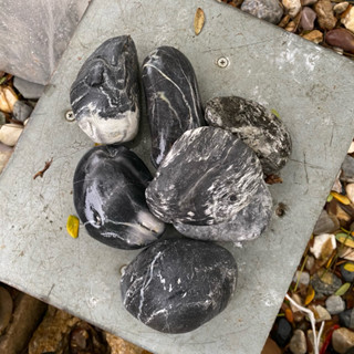 หินจัมโบ้ดำขาว ดำ  1 กิโลกรัม หินธรรมชาติจัมโบ้ (ในภาพคือ หิ…