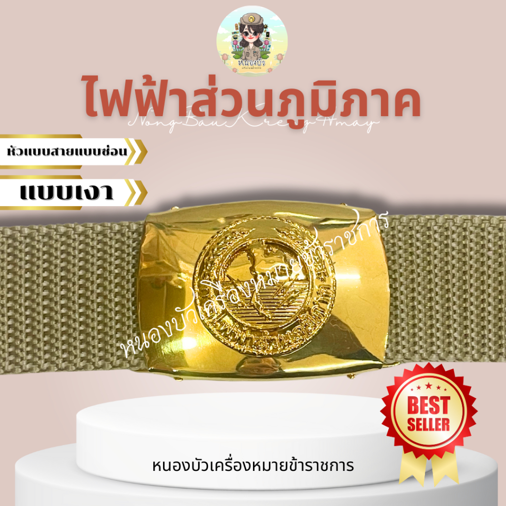 เข็มขัดไฟฟ้า เข็มขัดไฟฟ้าส่วนภูมิภาค รูปที่ 6