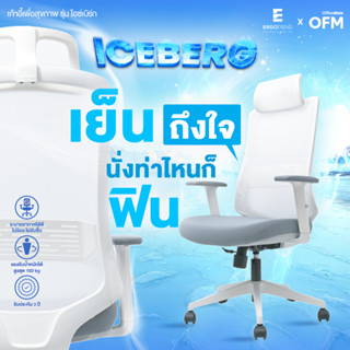 Iceberg เก้าอี้เพื่อสุขภาพเออร์โกเทรน รุ่นไอซ์เบิร์ก