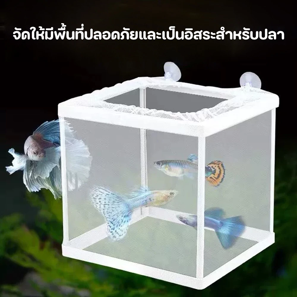 Winky Wink ตาข่ายแยกปลา กล่องแยกเลี้ยงปลา ฟักไข่ปลา thumbnail 6