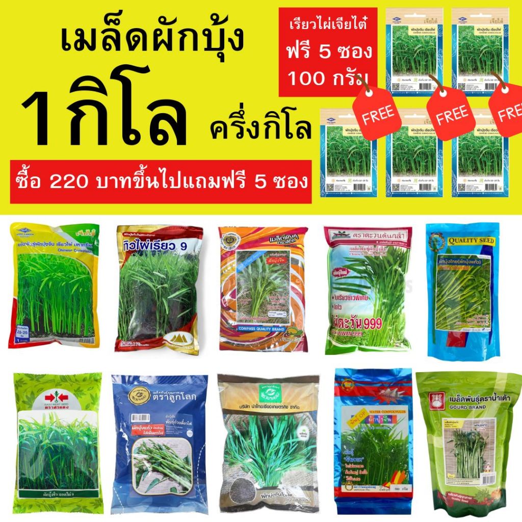 รวมเมล็ดผักบุ้ง 1 กิโล หลากหลายยี่ห้อ (ขนาด 500 กรัม ก็มีนะครับ)