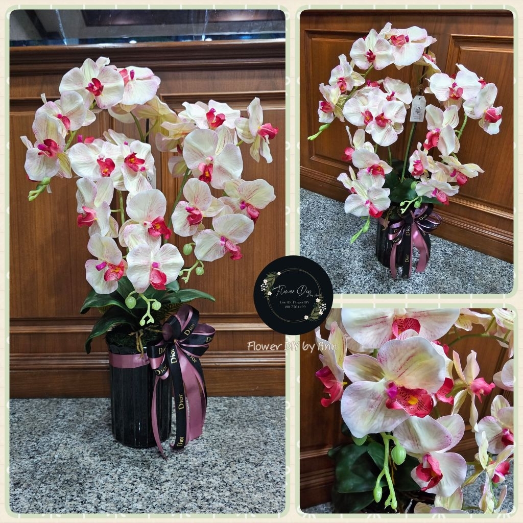 แจกันดอกกล้วยไม้ฟาแลนด์ กระถางกล้วยไม้ - รูปที่ 5
