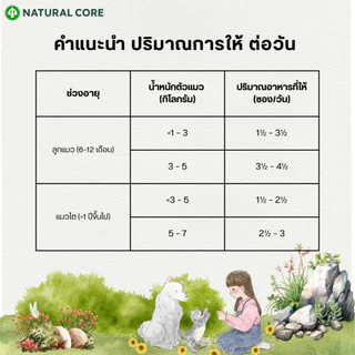 Natural Core Twin Pouch ซุปอาหารเปียก สำหรับแมว นำเข้าจากเกาหลี 🇰🇷