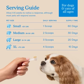 Fera Pets Dental Support ผลิตภัณฑ์ดูแลช่องปากสุนัขและแมว