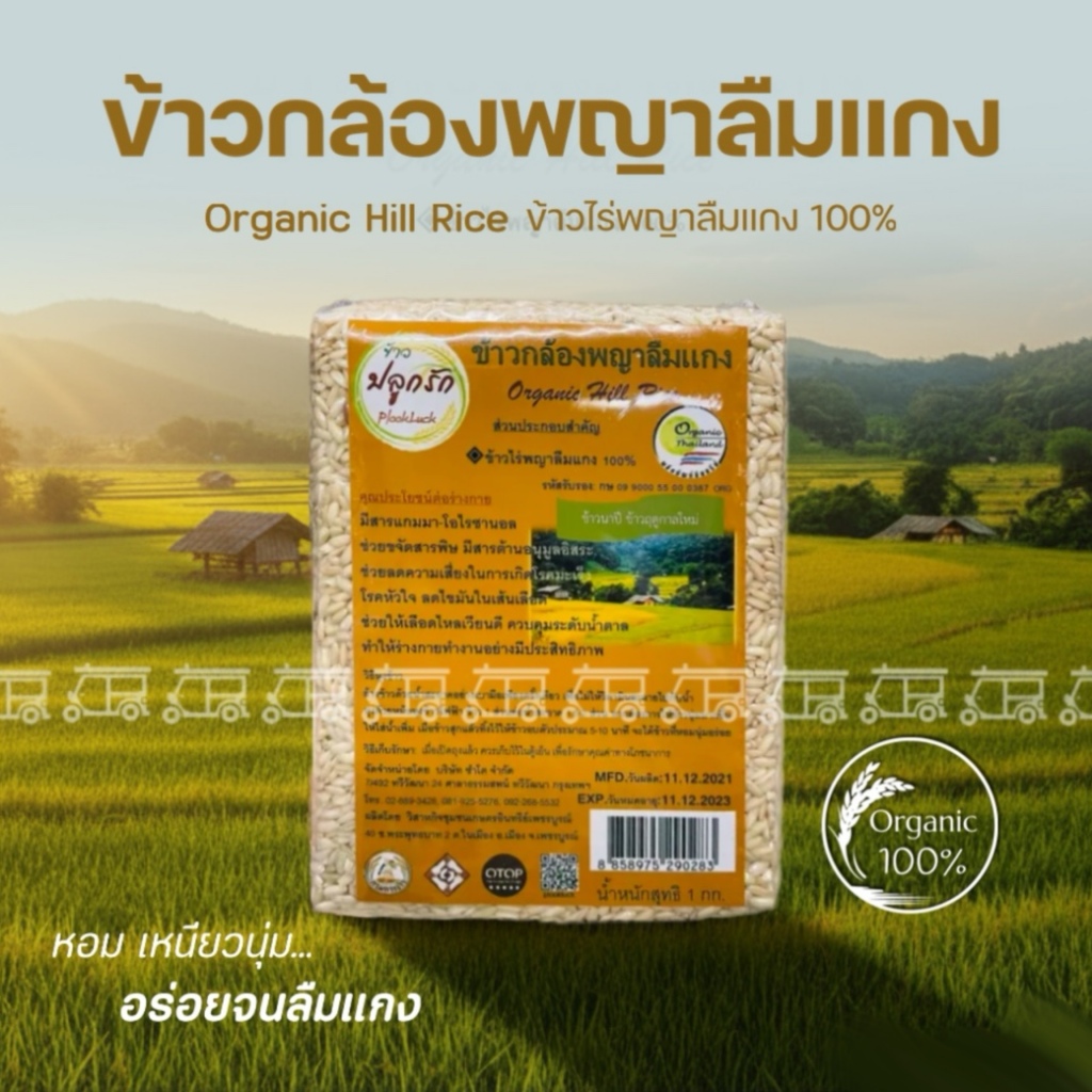 พร้อมส่ง !! ข้าวพญาลืมแกง 1 กิโลกรัม อร่อย จนลืมตักแกง ข้าวกล้อง พญาลืมแกง 100% จากเพชรบูรณ์ พันธุ์พื้นเมือง ข้าวใหม่