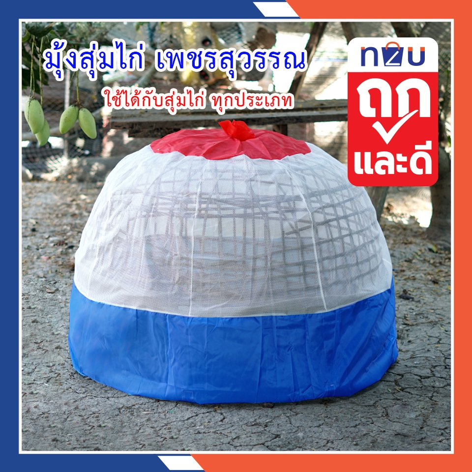(ขายดี) มุ้งสุ่มไก่ สุ่มไก่  ไก่ชน ไก่แจ้ มุ้งกันยุง มุ้ง ยี่ห้อเพชรสุวรรณ  ครอบสุ่มไก่ได้เลย ป้องกันยุงและแมลงได้ดี