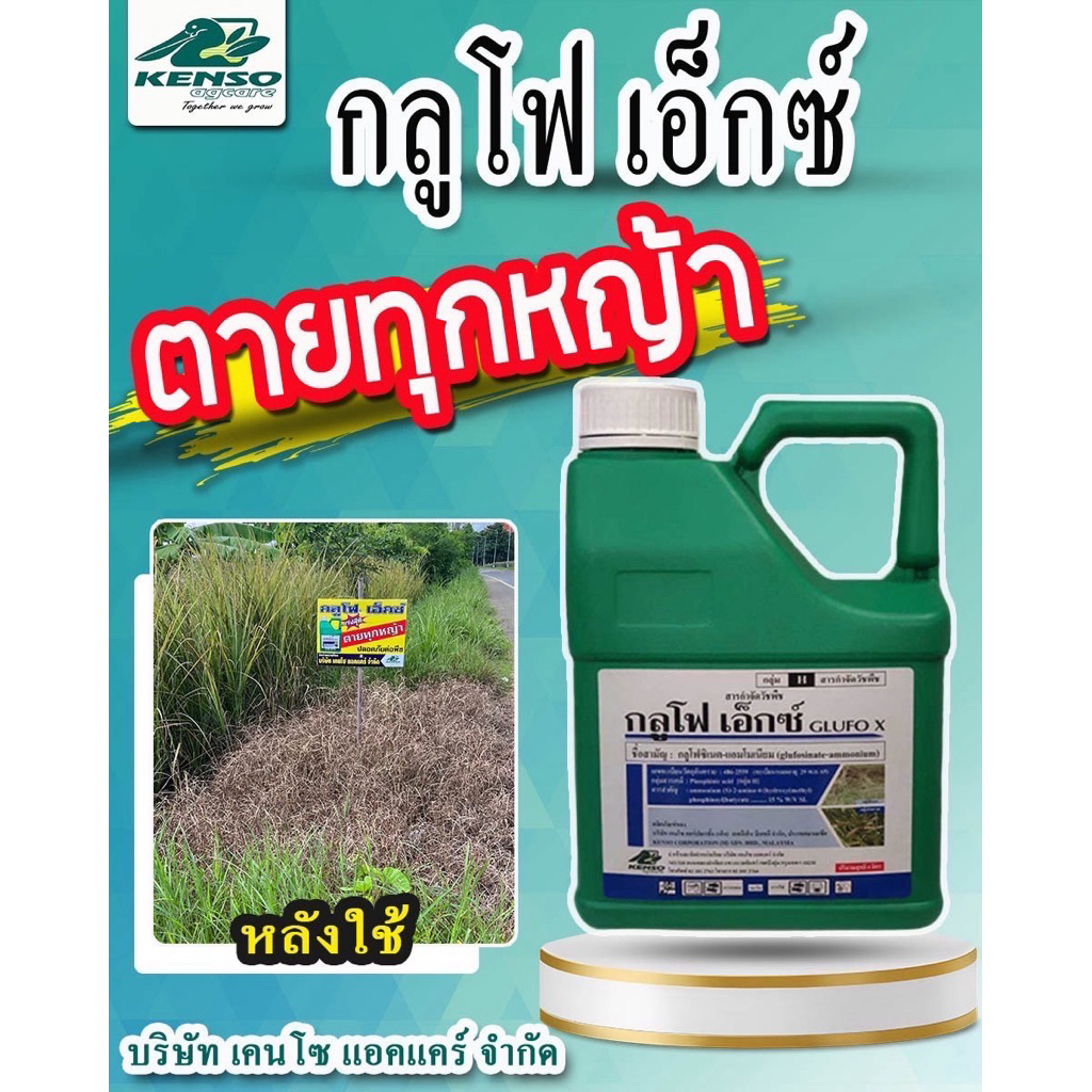 กลูโฟเอ็กซ์ ขนาด 4 ลิตรสินค้าใหม่ คือ เคนบาส 15 สารกำจัดวัชพืชออกฤทธิ์เผาไหม้หญ้าตายเร็ว ฆ่าหญ้าตายยากทุกชนิด