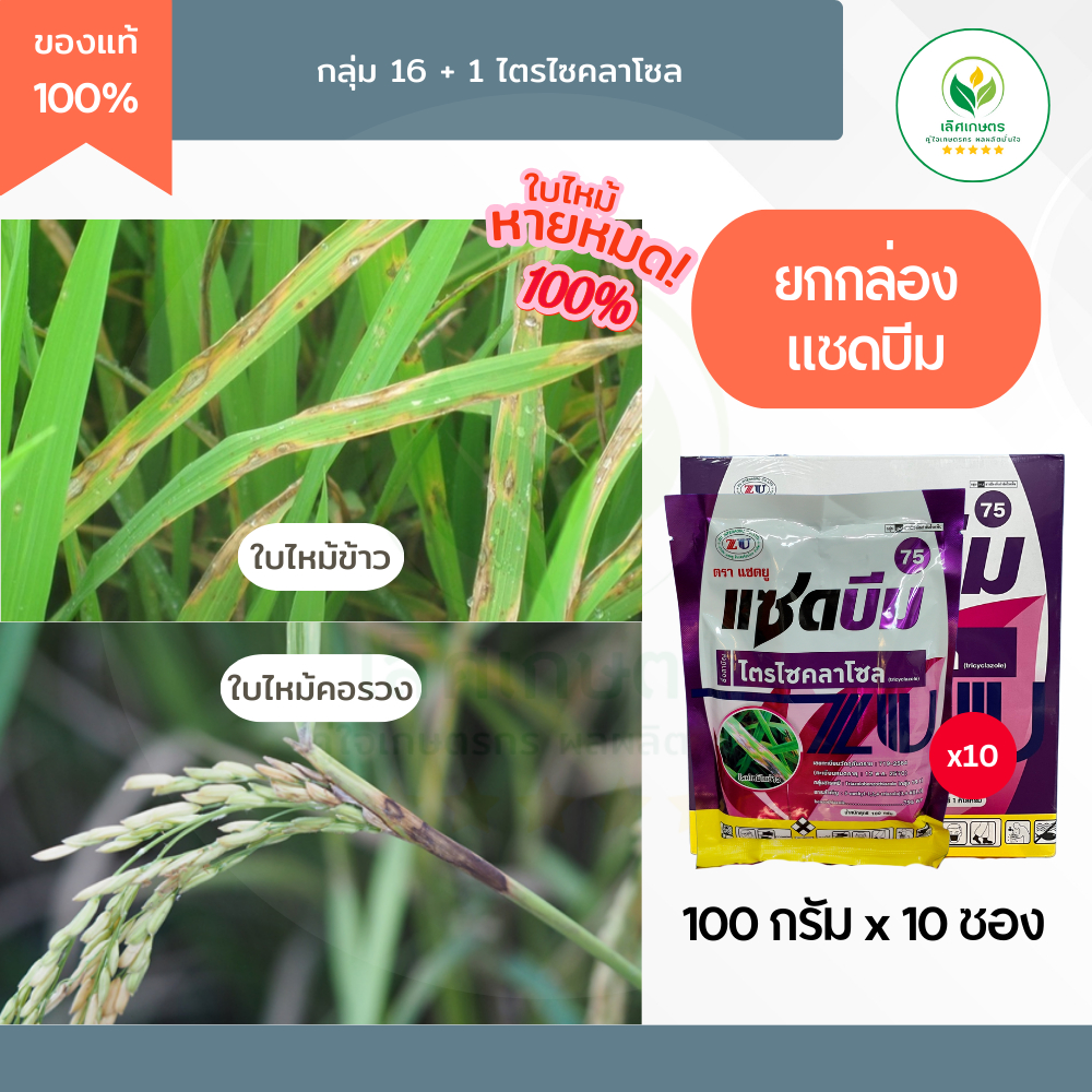 ยกกล่อง ไตรไซคลาโซล75% (แซดบีม 100กรัมx10) แก้เชื้อราใบไหม้ คอรวงแห้ง