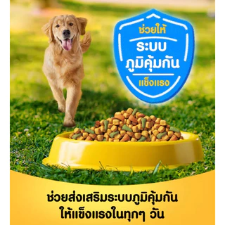 Pedigree เพดดิกรี สูตรสุนัขโต 20 kg.