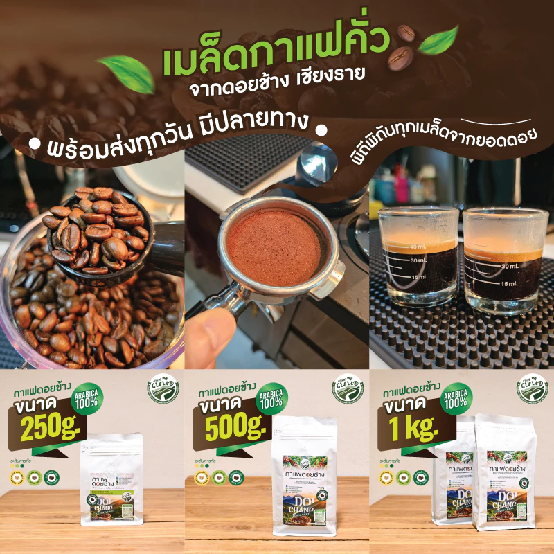 เมล็ดกาแฟดอยช้าง Doi Chang Arabica 100% จากเชียงราย บรรจุถุงติดวาล์ว