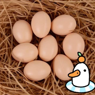 ไข่ ไข่ปลอม ไข่ไก่ถุงตาข่าย ไข่ถุง12ฟอง สินค้าขายดี