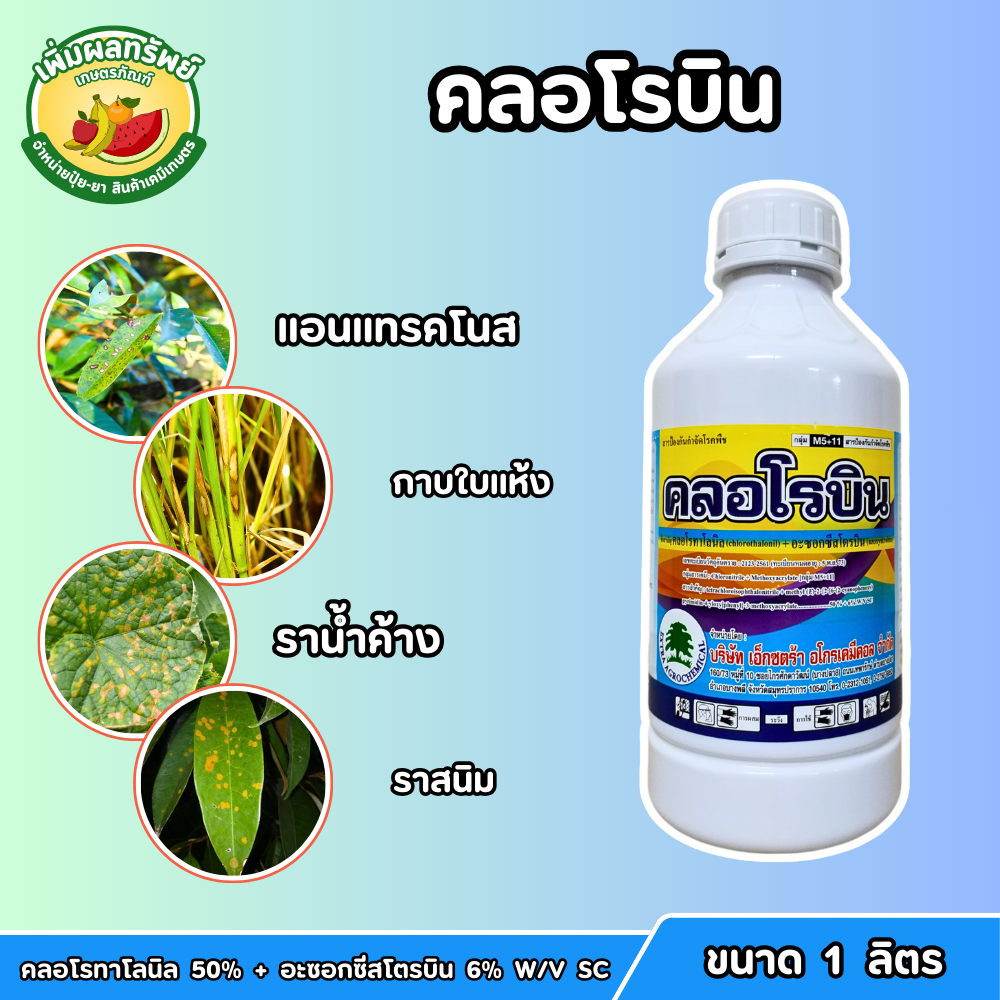 คลอโรบิน (คลอโรทาโลนิล 50%+อะซอกซีสโตรบิน 6% W/V SC) ขนาด 1 ลิตร ป้องกันกำจัดเชื้อรา แอนแทรคโนส ราน้ำค้าง ใบไหม้ใบจุด