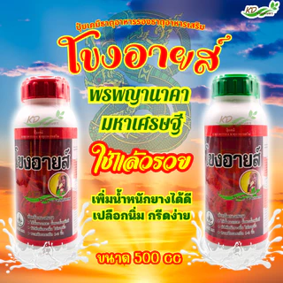 โขงอายส์ ขนาด 500 ซีซี และ1000 ซีซี ยาเร่งน้ำยาง ยาทาหน้ายาง น้ำยางออกดี ยาเร่งน้ำยาง กรีดง่าย ต้นไม่โทรม ของแท้ 100%