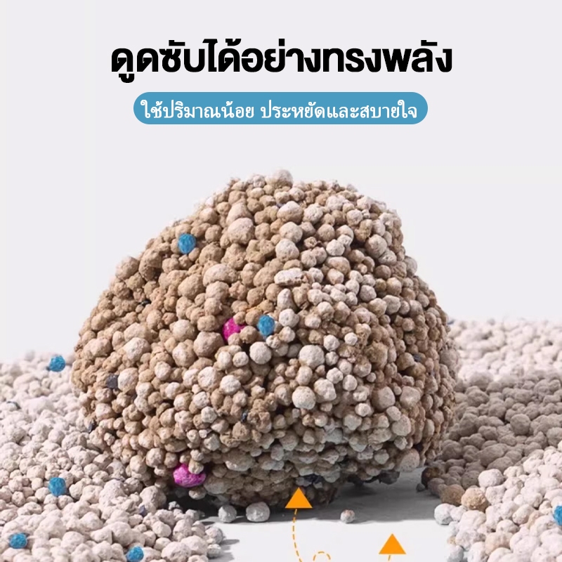 รูปภาพ 2