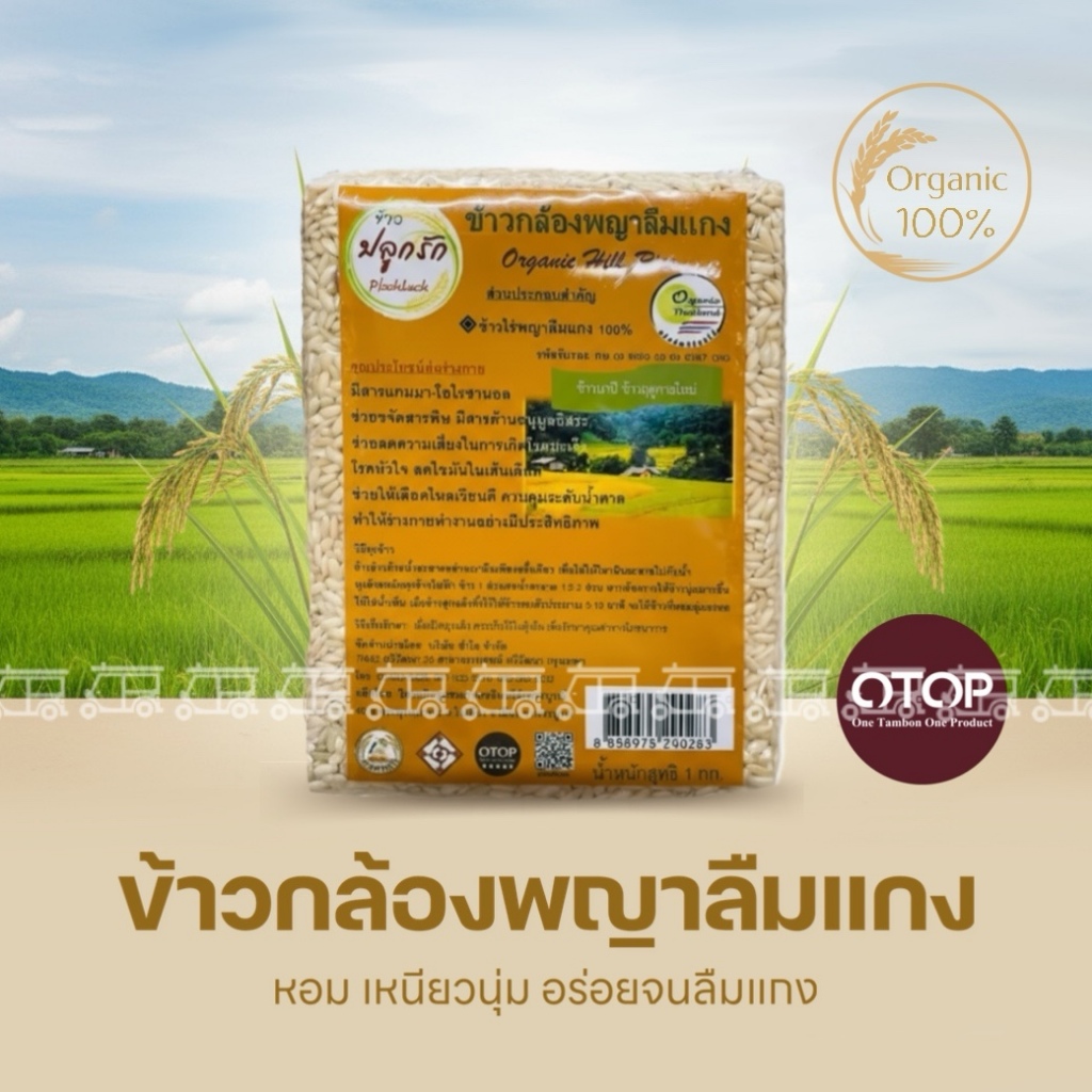 พร้อมส่ง! ข้าวพญาลืมแกง 1kg อร่อย จนลืมแกง ข้าวกล้อง พญาลืมแกง 100% จากเพชรบูรณ์ พันธุ์พื้นเมือง ข้าวใหม่