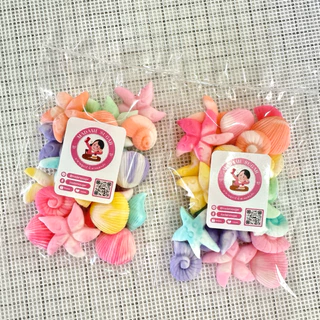 New!! Madame Sugar:น้ำตาลกัมเพส “หอยรวม ลายหินอ่อน” 🐚