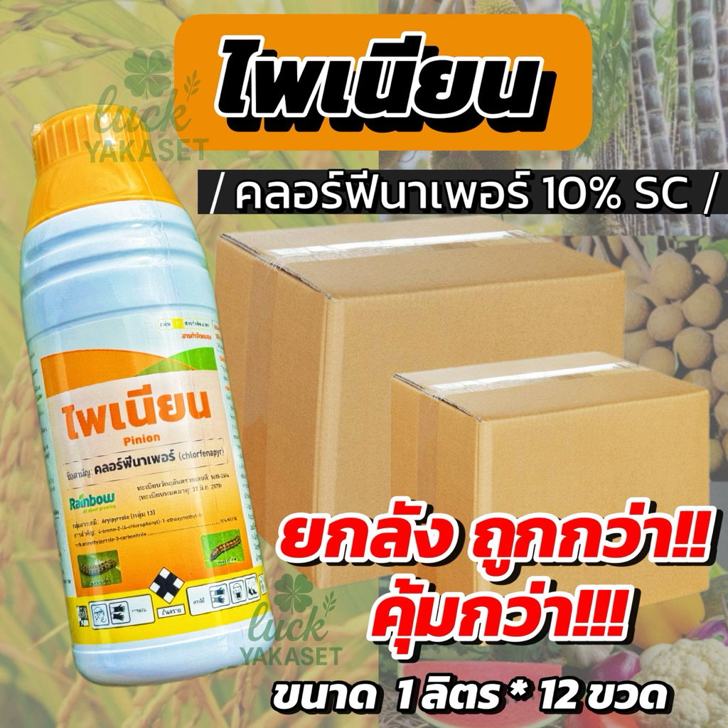 **ยกลัง 1ลิตร*12ขวด** 🔥ไพเนียน(คลอร์ฟีนาเพอร์10%) แพ็คเกจเดิม ยาเย็น กำจัดหนอนหนอนกอ แทรกซึมดูดซึมโดนตัวตายกินตายRainbow