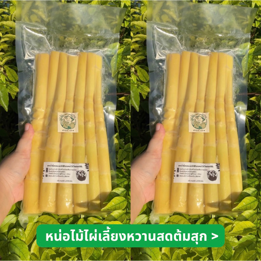 ☘️หน่อไม้ไผ่หวานสดต้มสุก(หน่ออวบ) 500g-1กิโลกรัม พร้อมทาน บรรจุถุงสูญญากาศ