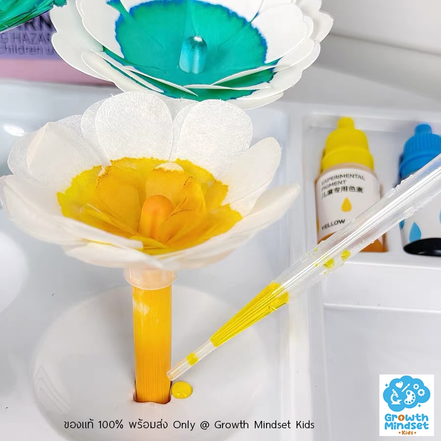 GM Kids (ของแท้ ส่งจากไทย) ของเล่น DIY งานประดิษฐ์ ย้อมสีดอกไม้กระดาษ MI0355 - รูปที่ 5