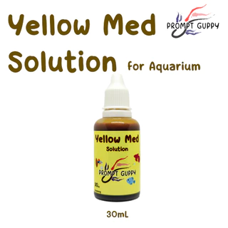 Yellow Med Solution เข้มข้น สำหรับสัตว์น้ำ ปลาสวยงาม ในขวดหยด สะดวกใช้งาน