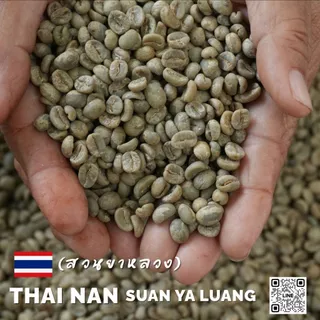 สารกาแฟไทยสวนยาหลวง จ.น่าน,Nan Suan Ya Luang -100% บรรจุ 5 - 20kg. RK.Coffeebean