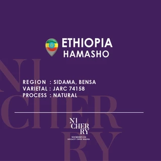 NICHERRY เมล็ดกาแฟ Ethiopia Bensa N | Hamasho | Berry & Sweet — Specialty คั่วอ่อน 150g