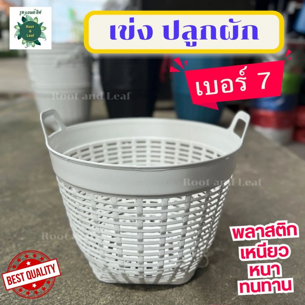 เข่งปลูกผัก เข่งพลาสติก เบอร์ 7 มี 3 สี ตะกร้าพลาสติก ขนาดกำลังดี ระบายน้ำได้ดี