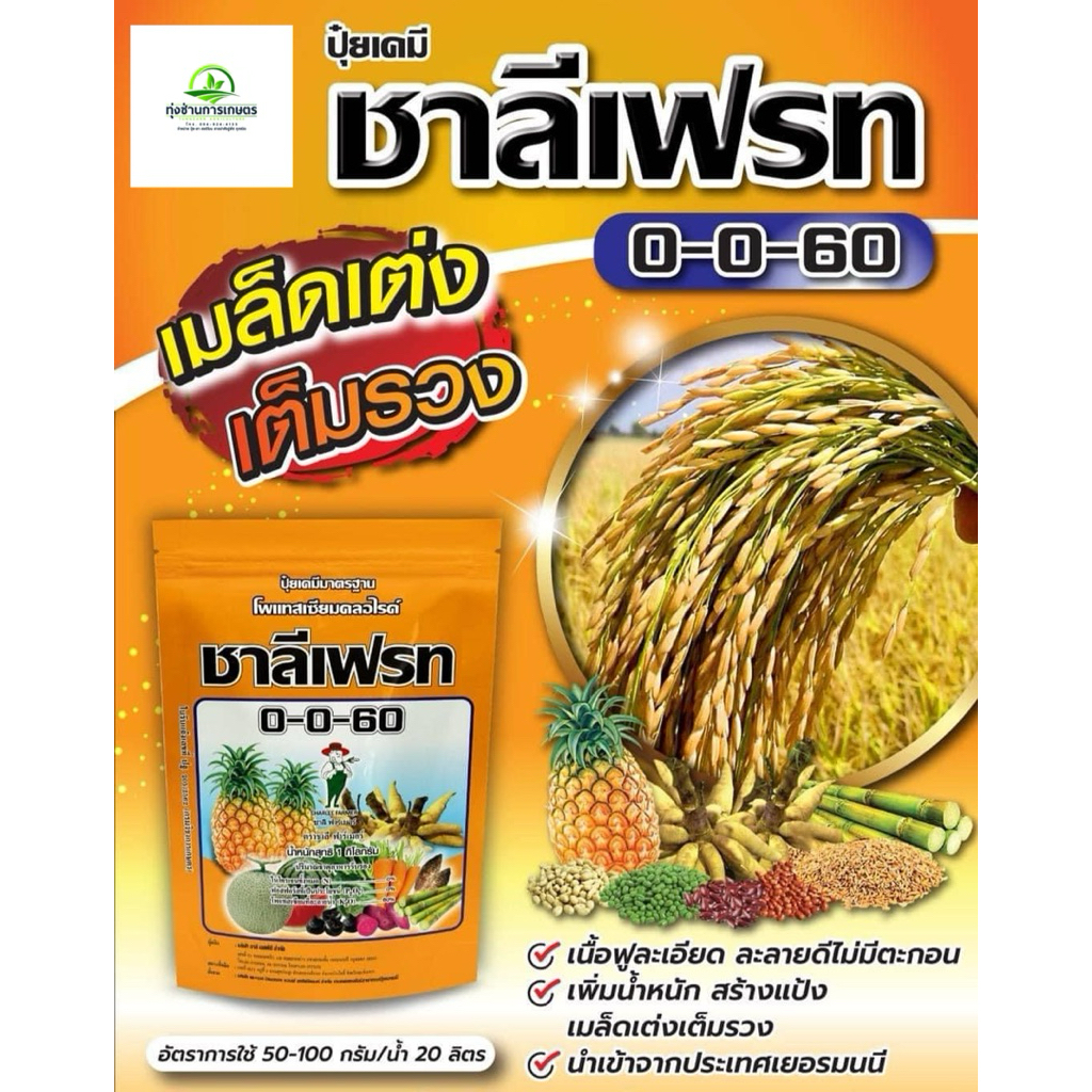 ปุ๋ย 0-0-60 ชารีเฟรท