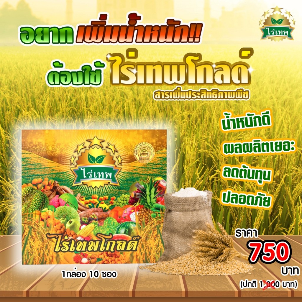 ไร่เทพโกลด์ (ไร่เทพกล่องทอง) สารเพิ่มประสิทธิภาพพืช