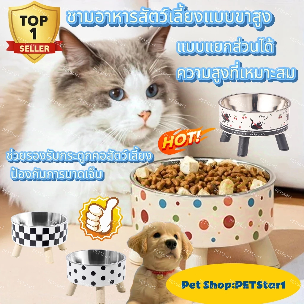 😻Cat/Dog Elevated Bowl🐶ชามให้อาหารหมาหรือแมว ปลอดภัยต่อสุขภาพ ไม่ขึ้นรา ดีไซน์สวย ทนทาน! 🥣🐾