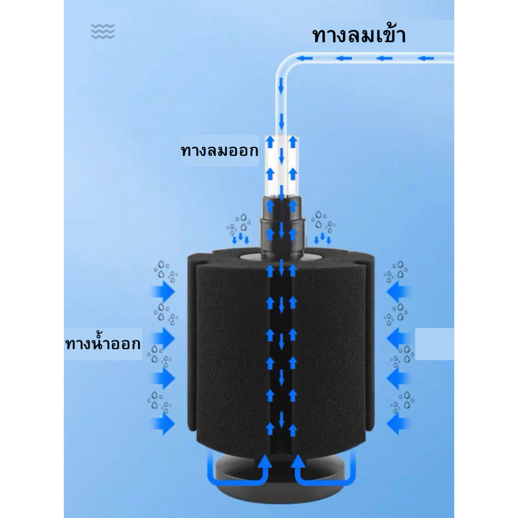 เครื่องกรองฟองน้ำ SOBO รุ่น SB-1330/2330 กรองฟองน้ําตู้ปลา กรองฟองน้ํ กรองฟองน้ําออกซิเจน กรองตู้ปลา thumbnail 3