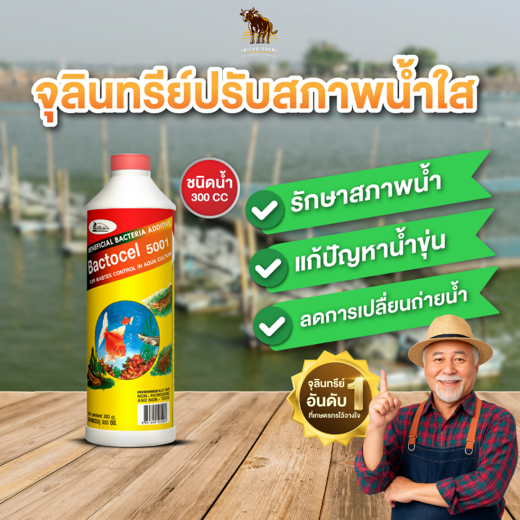 Bactocel 5001 300cc จุลินทรีย์รักษาสภาพน้ำในบ่อปลา จุลินทรีย์น้ำใส ย่อยสลายตะกอน น้ำมีกลิ่นเหม็น