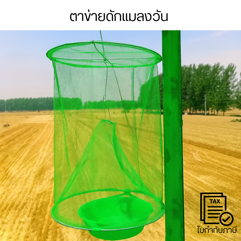 ตาข่ายดักแมลงวัน กับดักแมลงวัน กำจัดแมลงวันทอง ศัตรูพืชในสวนผลไม้ ใช้งานง่าย คุ้มค่า ทนทาน เหมาะกับสวนเกษตรและฟาร์ม