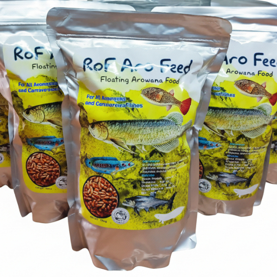 อาหารปลาแบบแท่งลอยน้ำสำหรับปลาอโรวาน่าและปลาช่อน RoF Aro Feed