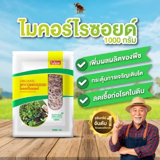 Bionic ไมคอร์ไรซา 1000กรัม* เร่งราก เพิ่มความแข็งแรงราก พืชโตไว เร่งผล ป้องกันโรคพืช ไบโอนิค เชื้อราไมคอร์ไรซา