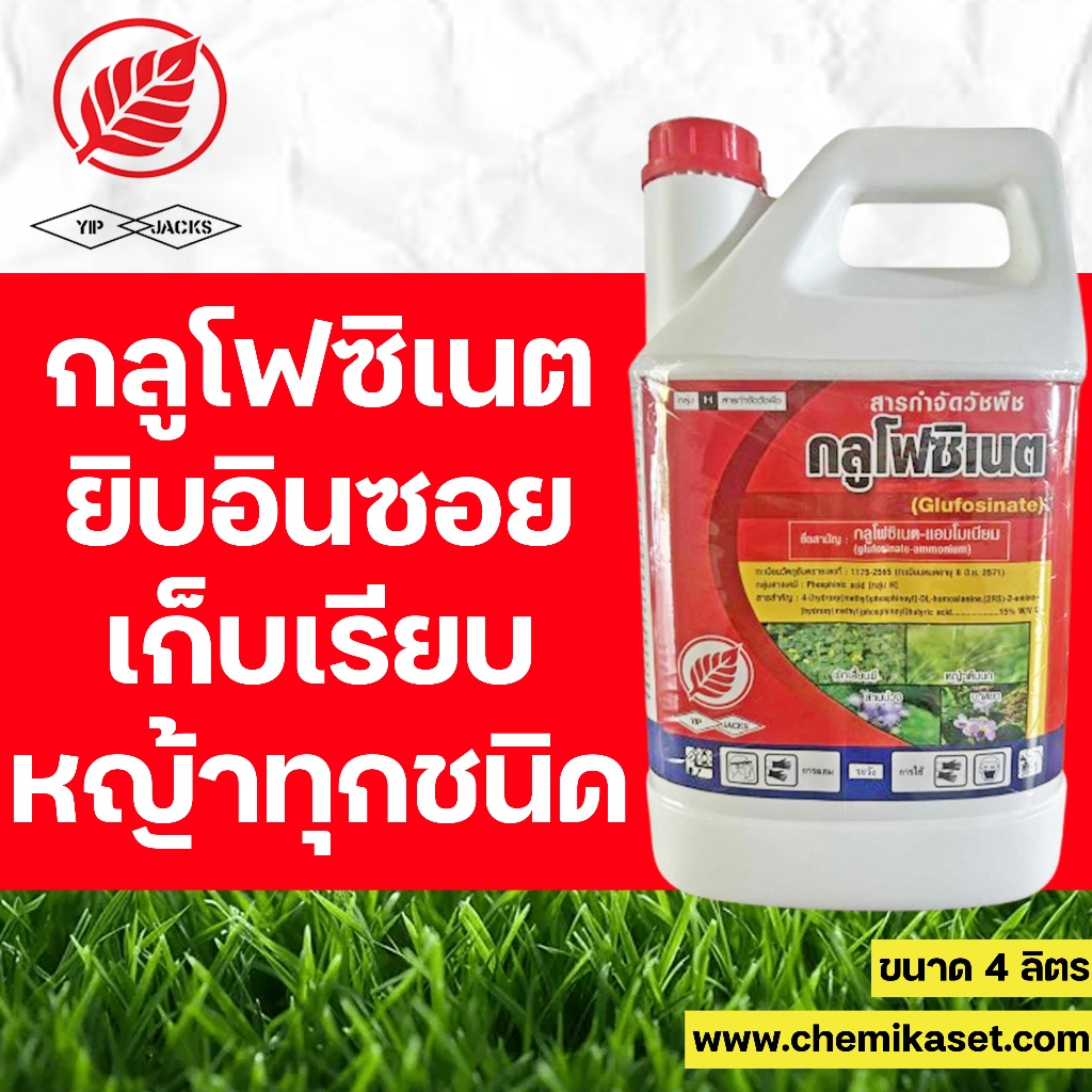 **ลดราคา** กลูโฟซิเนต ยิบอินซอย ขนาด 4 ลิตร กำจัดหญ้าอย่างมีประสิทธิภาพ ของแท้ ส่งไว