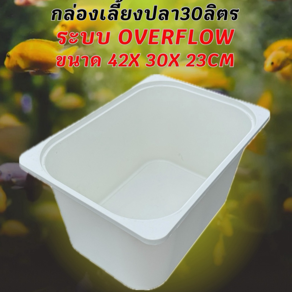 อ่างเลี้ยงปลาสีขาว ( อ่างเปล่า ) ขนาด 42x30x23 CMระบบover flow สำหรับเลี้ยงปลา อ่างเลี้ยงปลา อ่างปลาบอลลูน อ่างปลาเมดากะ