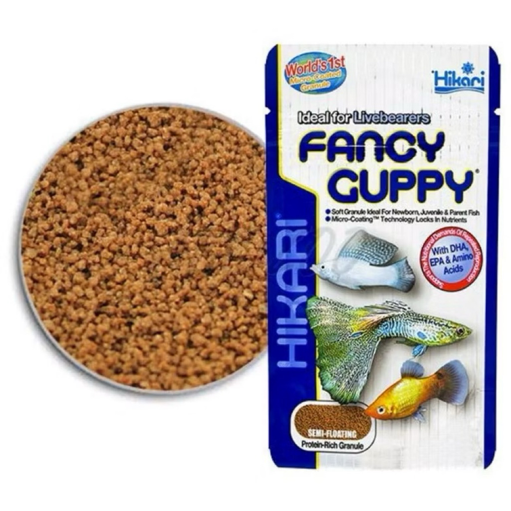 Hikari Fancy Guppy 22 g. อาหารปลาหางนกยูง