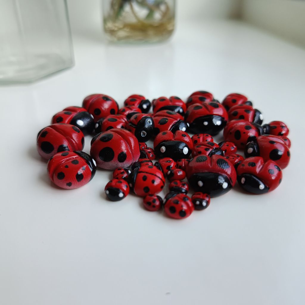 เต่าทองจิ๋ว🐞  ตกแต่งสวน ตกแต่งบ้าน จัดสวนถาด  สินค้าhandmade ปั้นมือ - รูปที่ 3