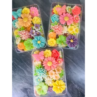 อาลัวเซตสวนดอกไม้ และดอกไม้นานาชนิดสีสันสดใส สูตรหวานมันกำลังดีต้นตำรับสูตรคุณยาย By jasmine