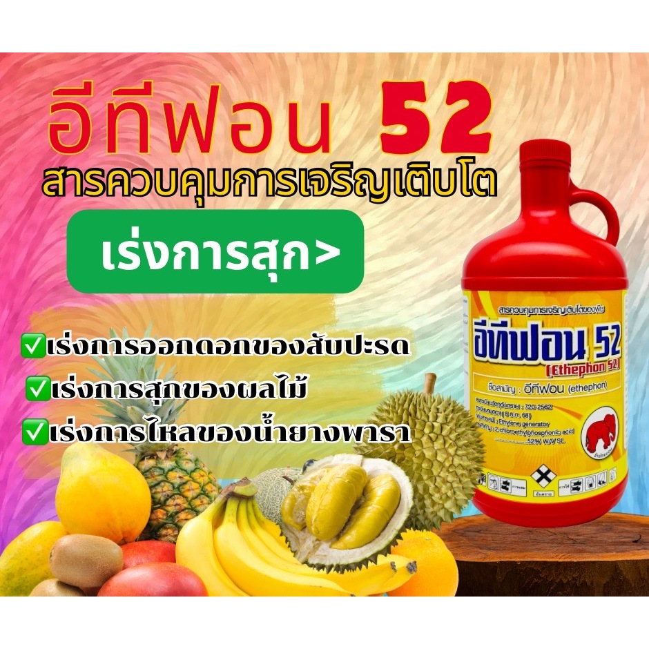 น้ำยาป้ายขั้วทุเรียน  อีทีฟอน 52  ขนาด 1ลิตร อีทีฟอน 52 น้ำยาเร่งสุก กล้วย สัปปะรด มะม่วง ราคา ถูกที่สุด ดีลบีเคเค แกลเลอรีภาพที่ 4