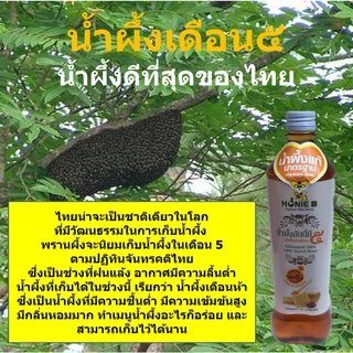 ฮันนี่บี น้ำผึ้งป่า น้ำผึ้งเดือน๕ 1200 กรัม น้ำผึ้งแท้ มาตรฐาน มกษ.8003-2556 อาหารเสริมของขวัญของฝาก