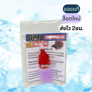 Suma Betta Strong Tail ซูม่าฝาแดง ปลากัดคึก หางแข็งแรง ปลากัดป่า